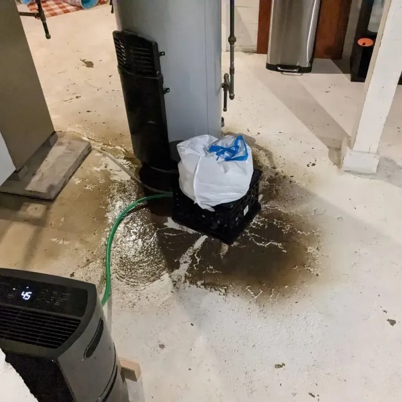 Sewage Backup Cleanup Service in Malden, MO